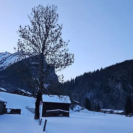 Moderne Im Bregenzerwald *